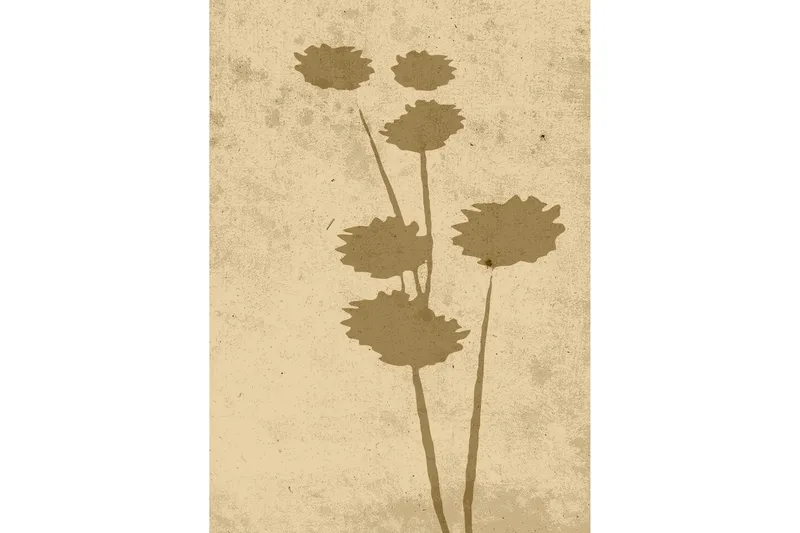 Poster Flower art 50x70 cm, Beige