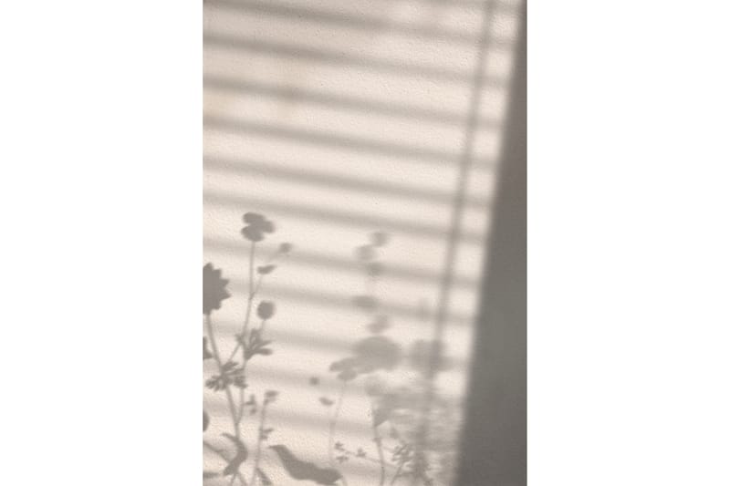 Poster Flower Shadow 21x30 cm, Vit