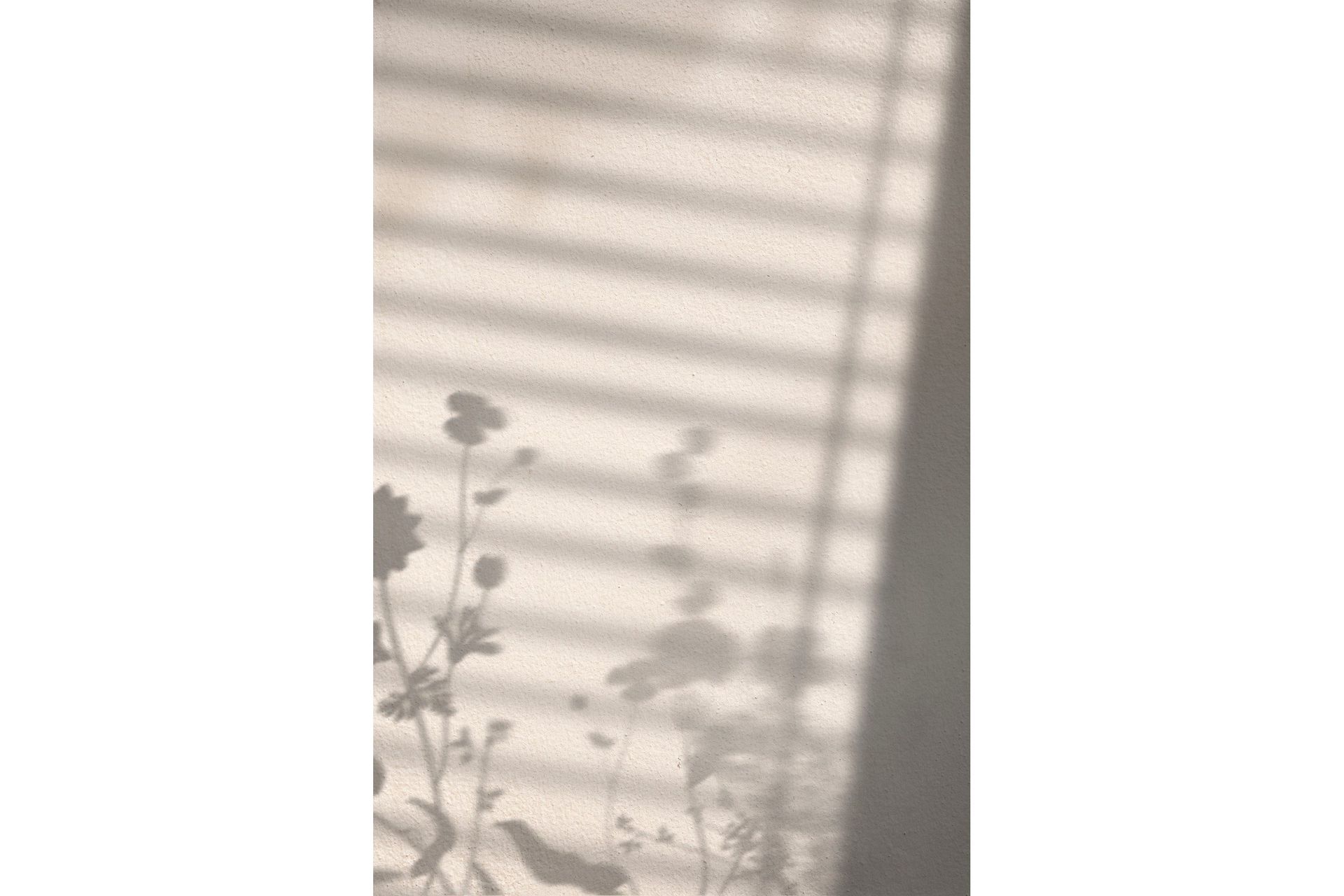 Poster Flower Shadow 21x30 cm - Vit