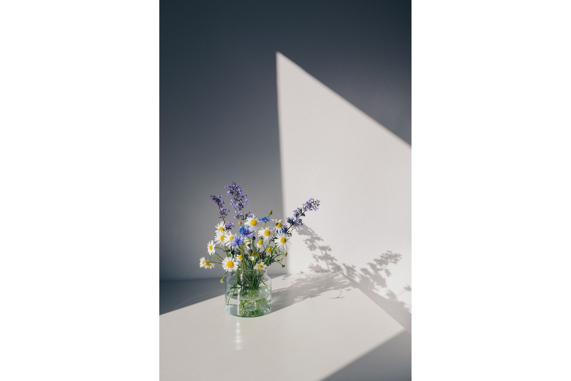 Poster Flowers 21x30 cm - Vit
