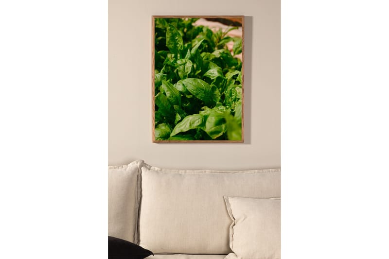 Poster Green Leaf 50x70 cm - Grön - Inredning - Tavlor & posters - Posters & prints