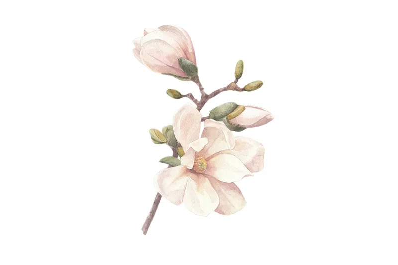 Poster Hand made 50x70 cm - Rosa/Vit - Inredning - Tavlor & posters - Posters & prints