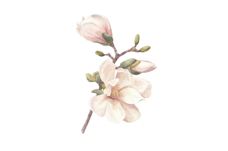 Poster Hand made 70x100 cm, Rosa/Vit