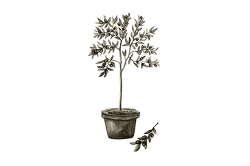Poster Olive 21x30 cm - Vit/Grön - Inredning - Tavlor & posters - Posters & prints