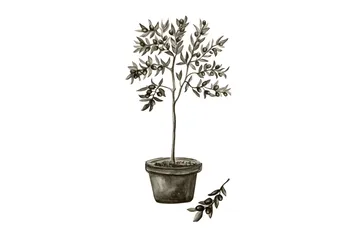 Poster Olive 30x40 cm - Vit/Grön - Inredning - Tavlor & posters - Posters & prints