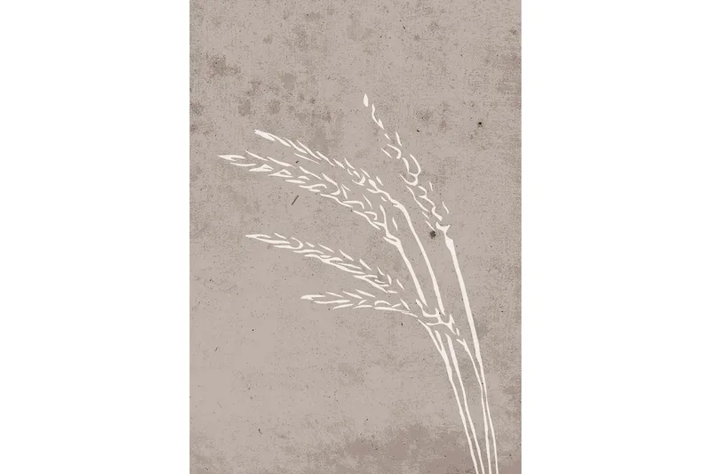 Poster Seeds 21x30 cm, Beige