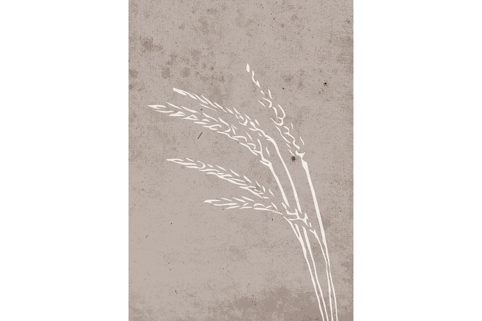 Poster Seeds 21x30 cm - Beige