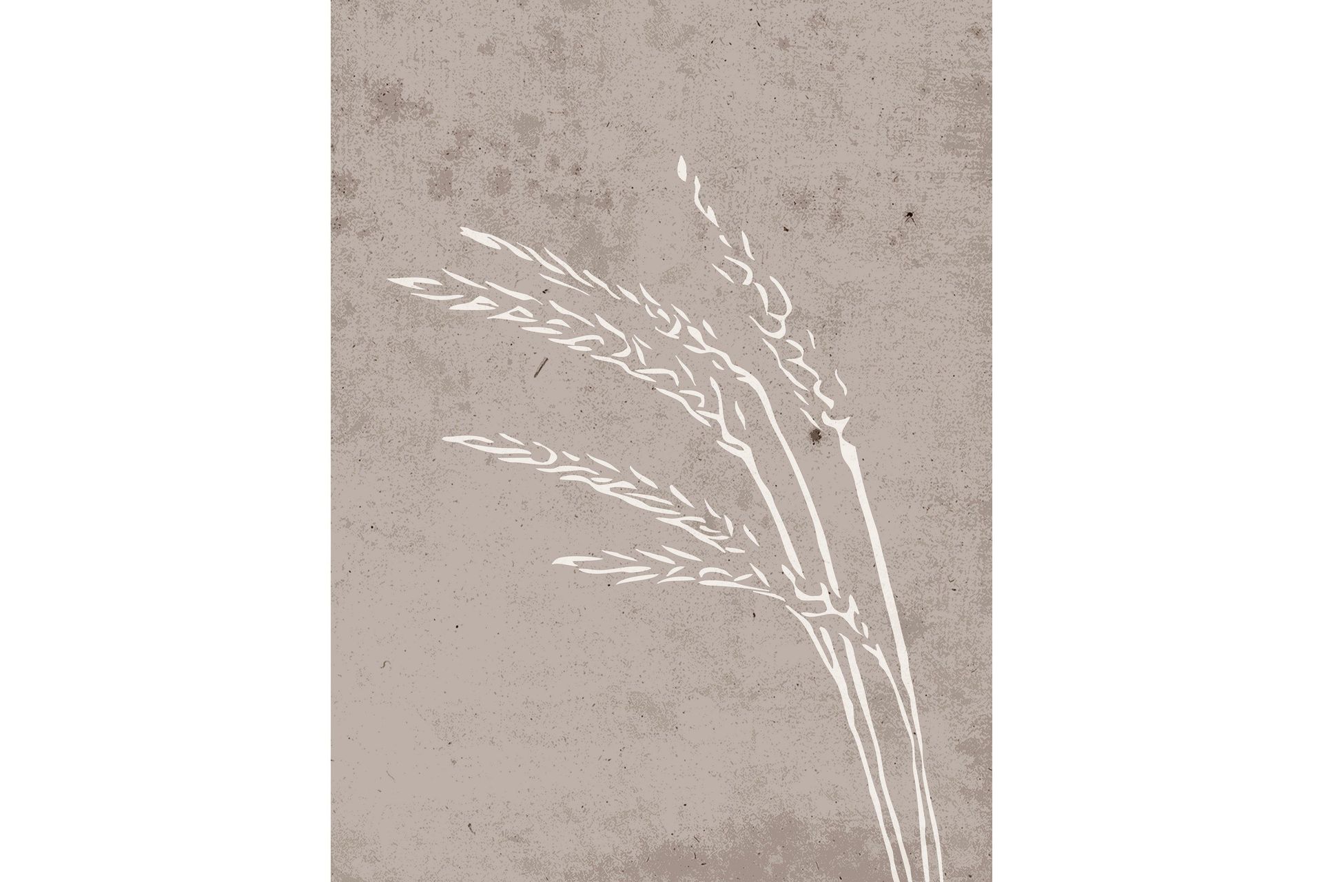 Poster Seeds 30x40 cm - Beige