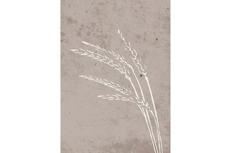 Poster Seeds 50x70 cm, Beige