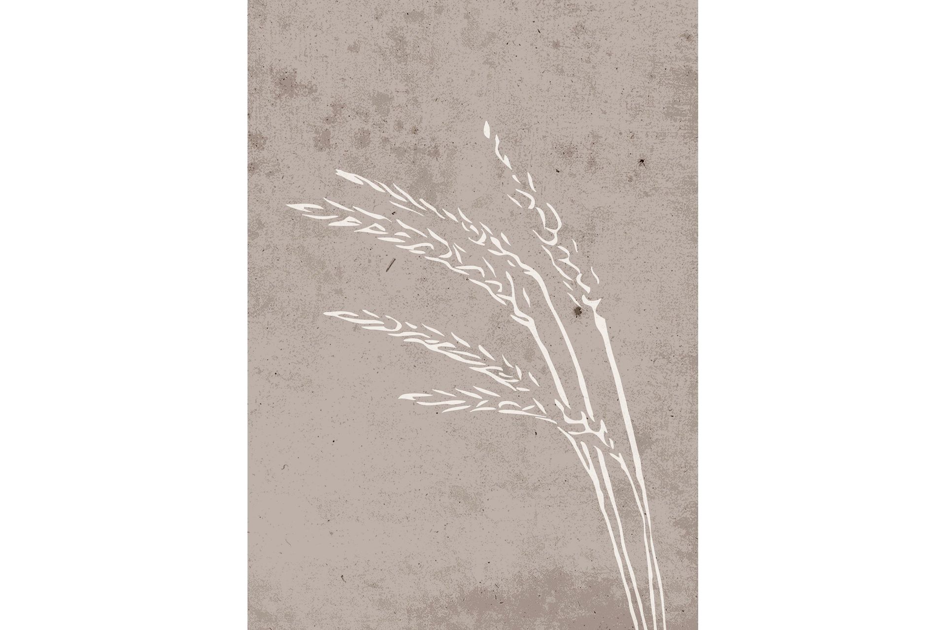 Poster Seeds 50x70 cm - Beige