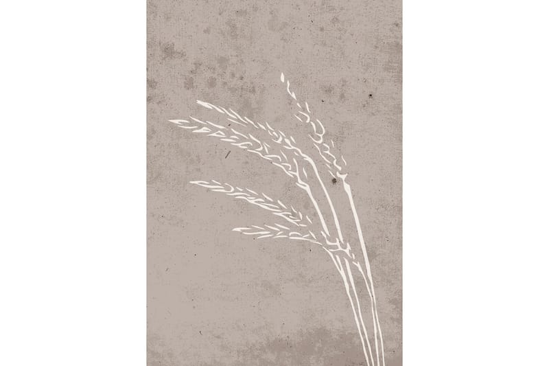 Poster Seeds 70x100 cm, Beige