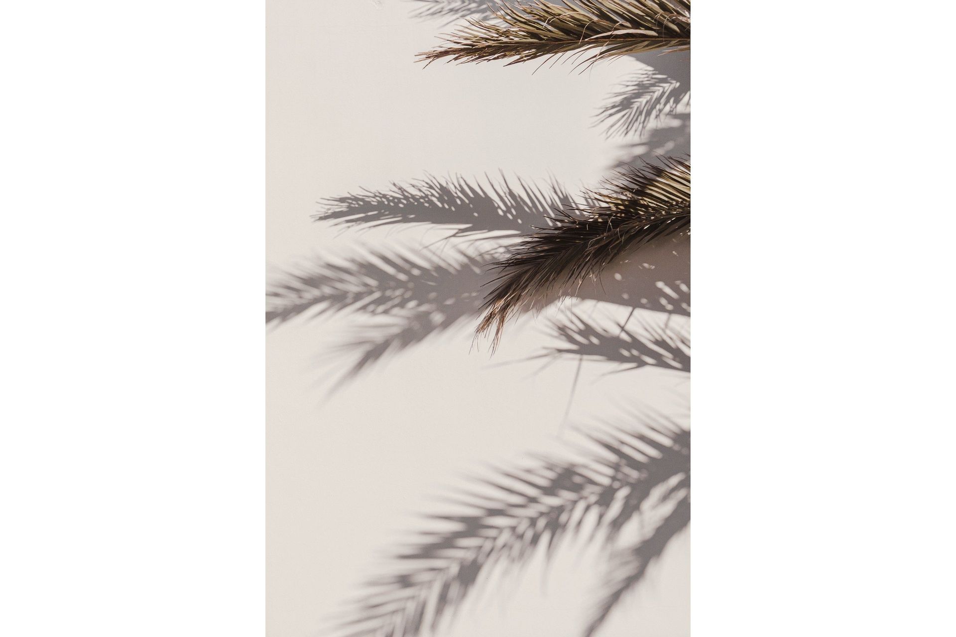 Poster Shadow 21x30 cm - Beige