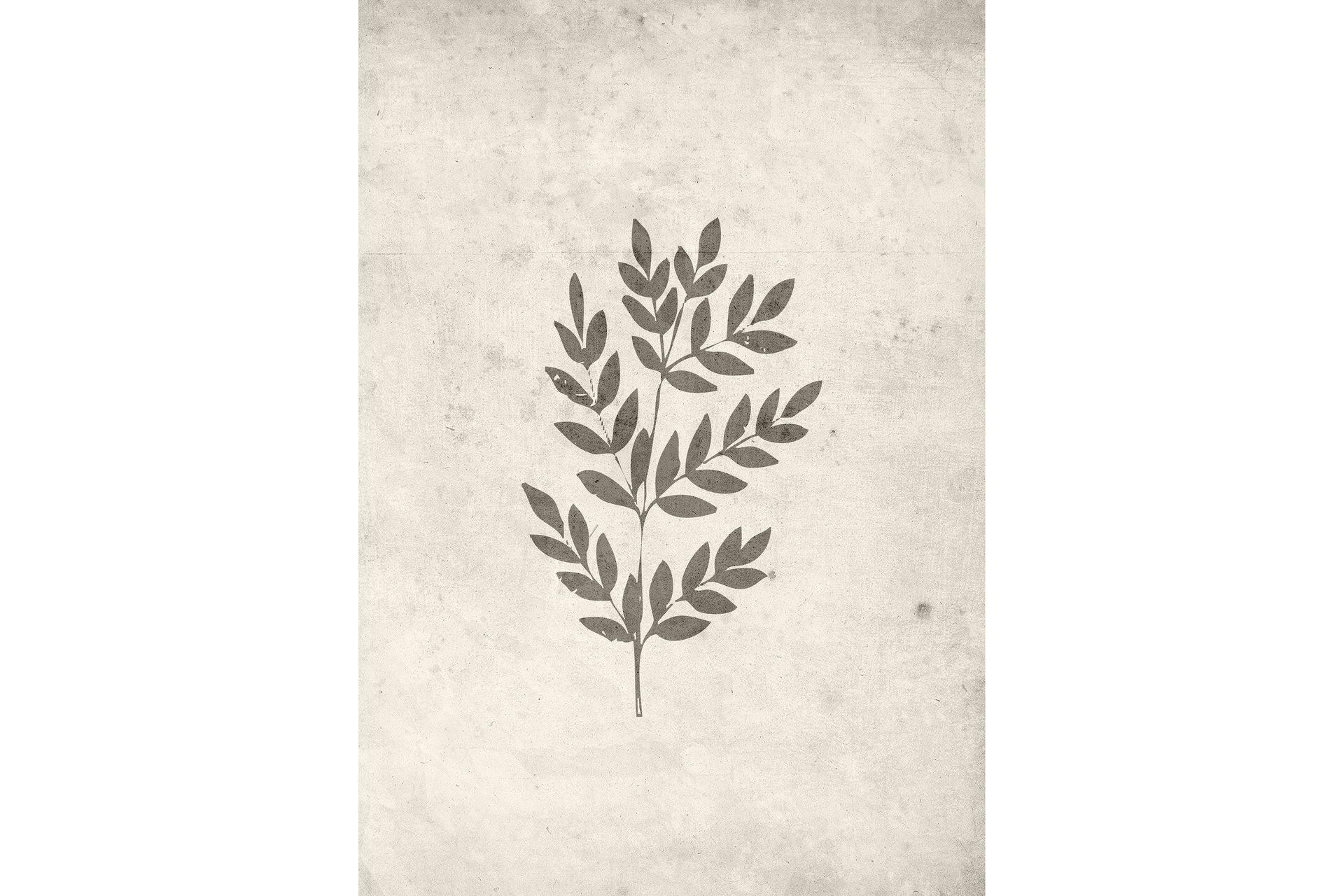 Poster Spring leaf 21x30 cm - Beige