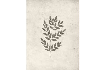 Poster Spring leaf 30x40 cm - Beige - Inredning - Tavlor & posters - Posters & prints