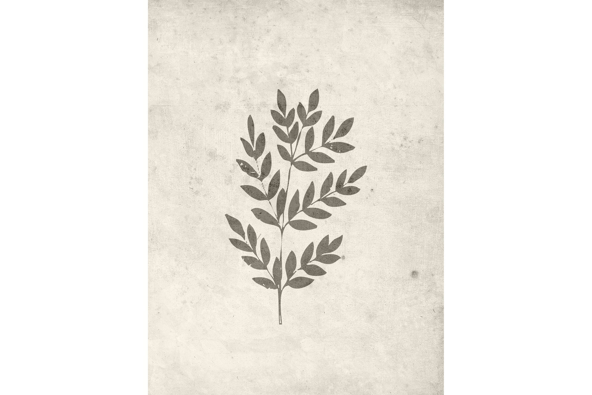 Poster Spring leaf 30x40 cm - Beige
