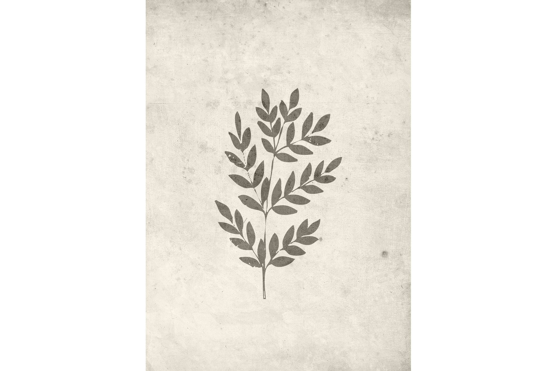 Poster Spring leaf 50x70 cm - Beige