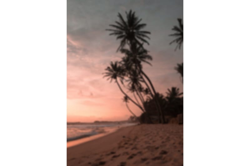 Poster Summer 21x30 cm - Rosa - Inredning - Tavlor & posters - Posters & prints