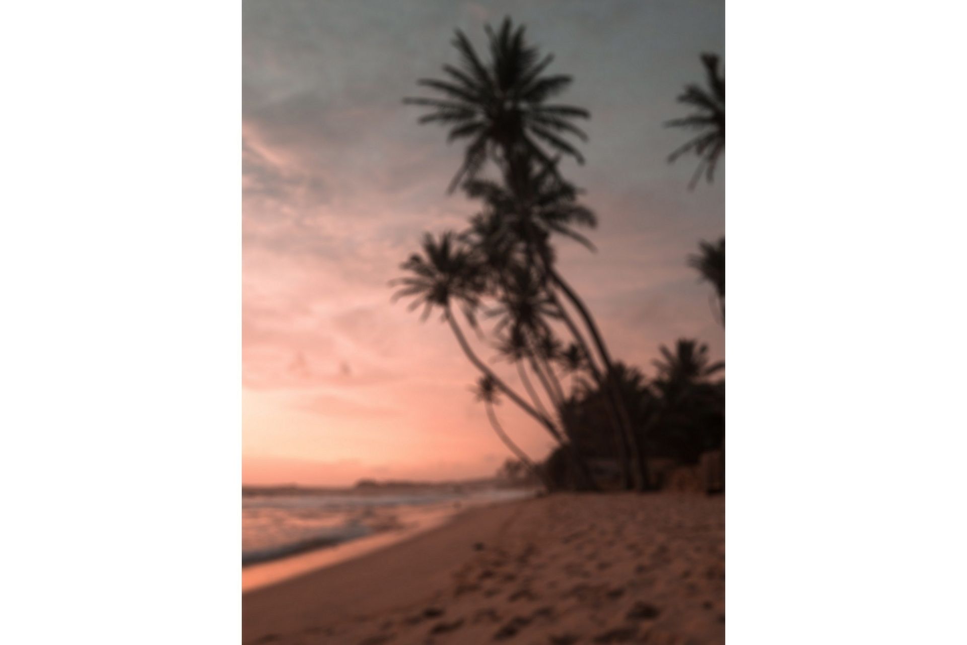 Poster Summer 30x40 cm - Rosa