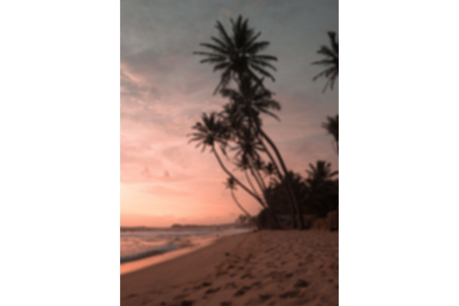 Poster Summer 50x70 cm - Rosa
