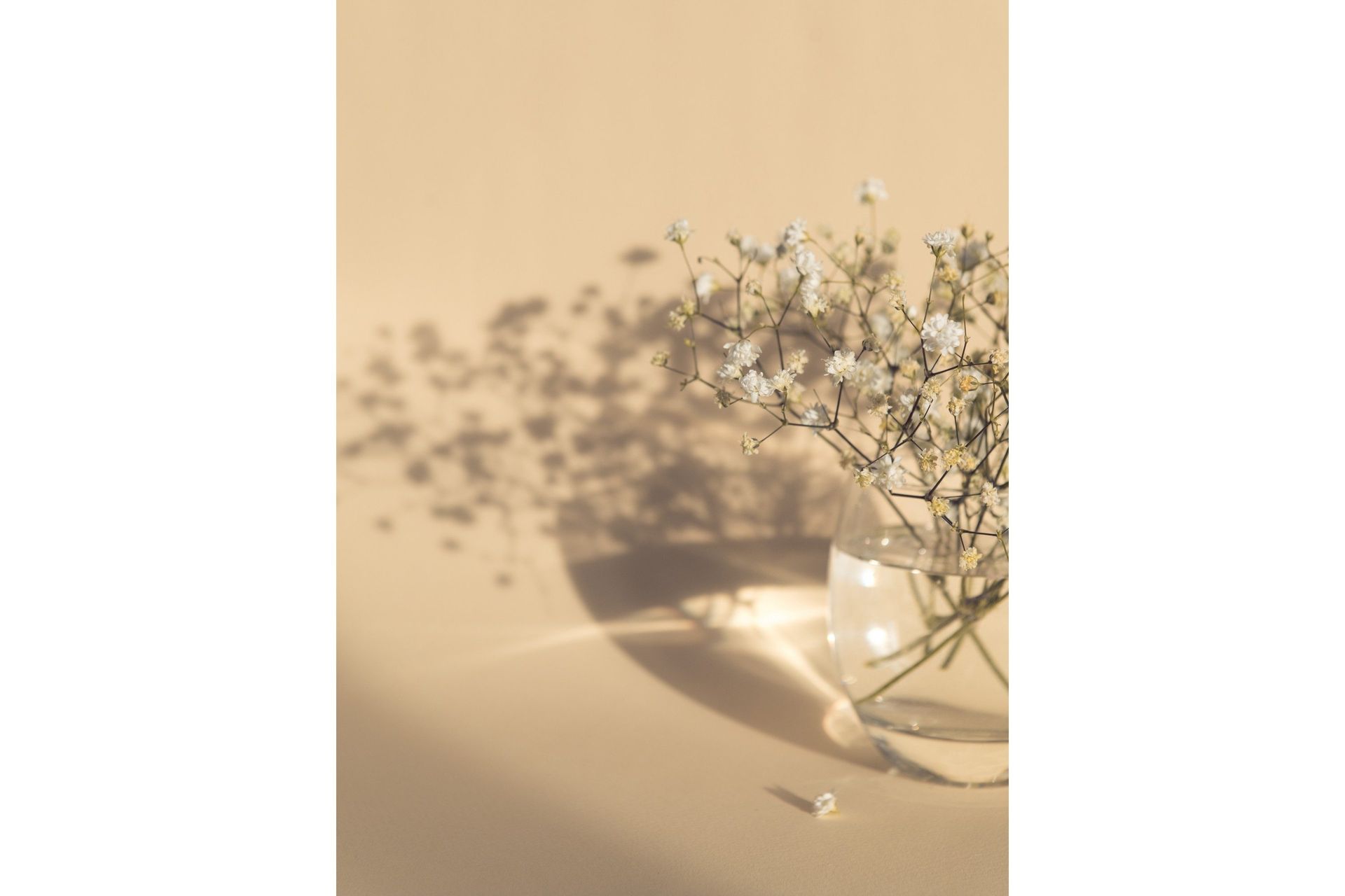 Poster White Flowers 30x40 cm - Beige