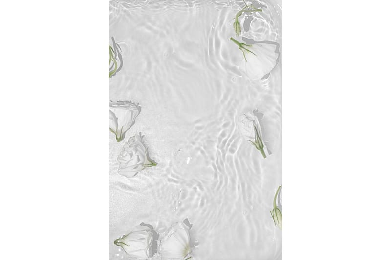Poster White Roses 30x40 cm - Vit - Inredning - Tavlor & posters - Posters & prints