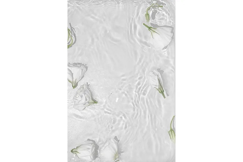 Poster White Roses 70x100 cm, Vit