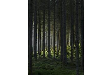 Poster Woods 30x40 cm - Svart/Grön - Inredning - Tavlor & posters - Posters & prints