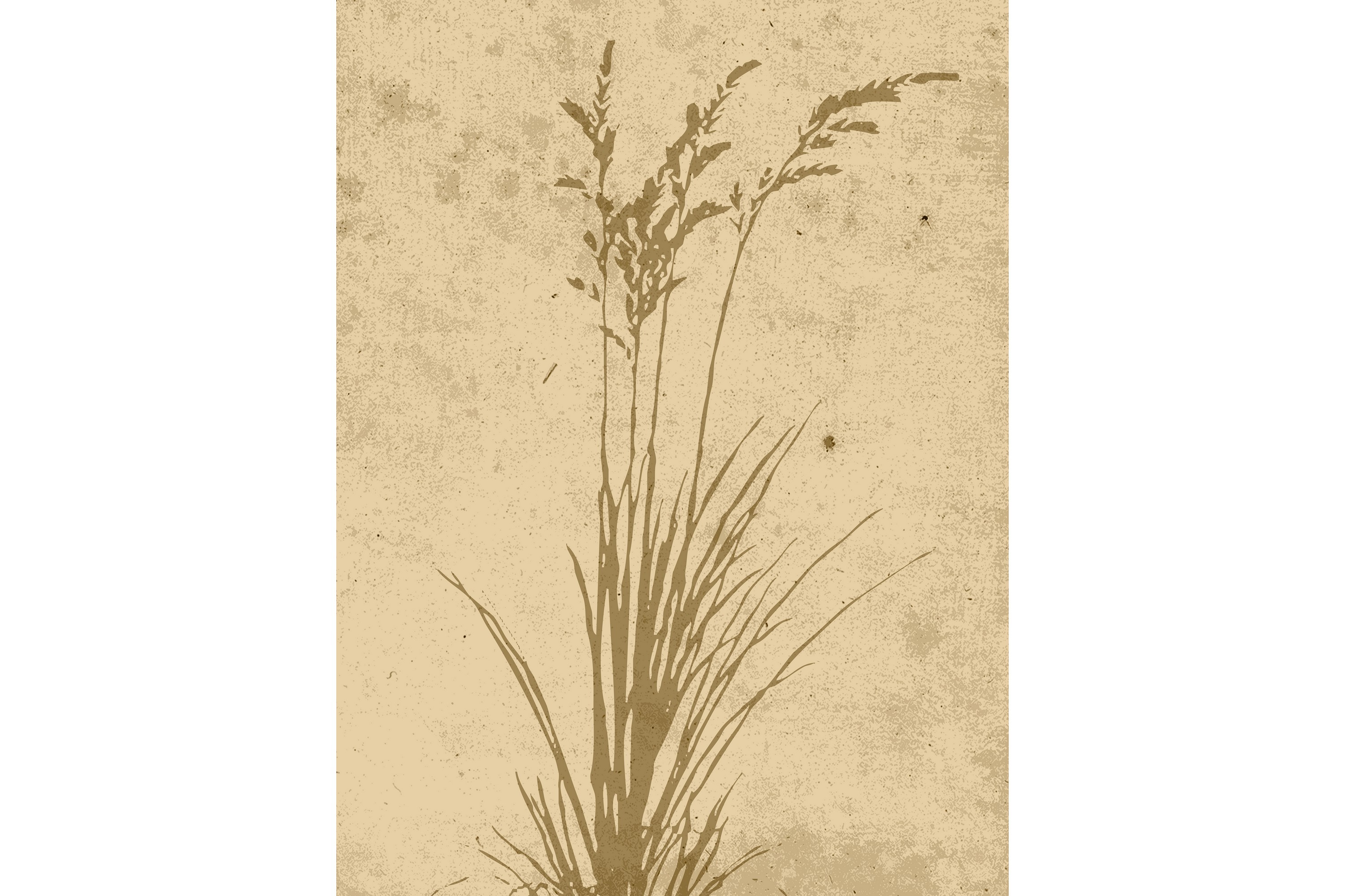Poster Plant art 30x40 cm Beige