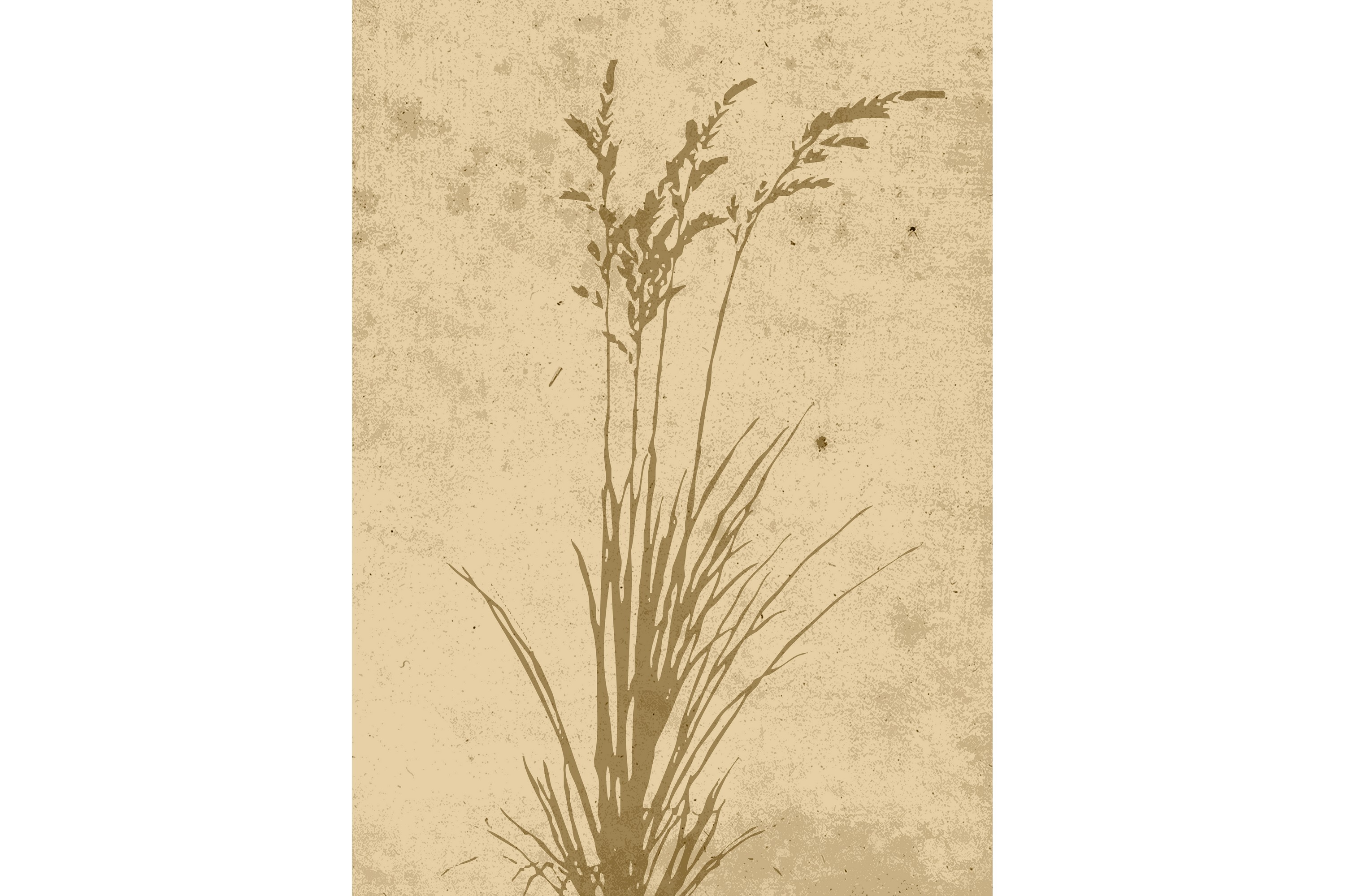 Poster Plant art 50x70 cm Beige