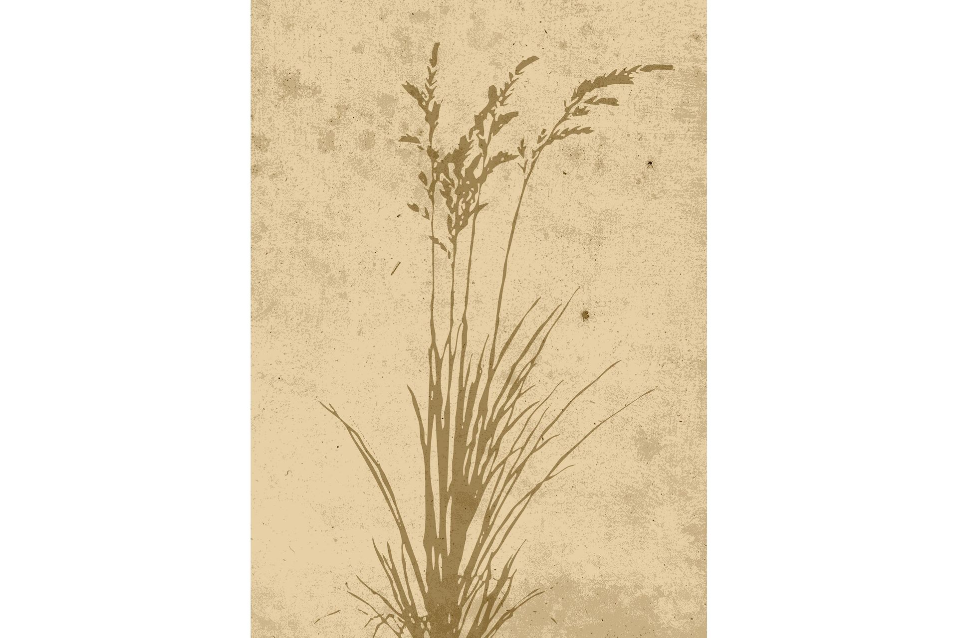 Poster Plant art 50x70 cm - Beige