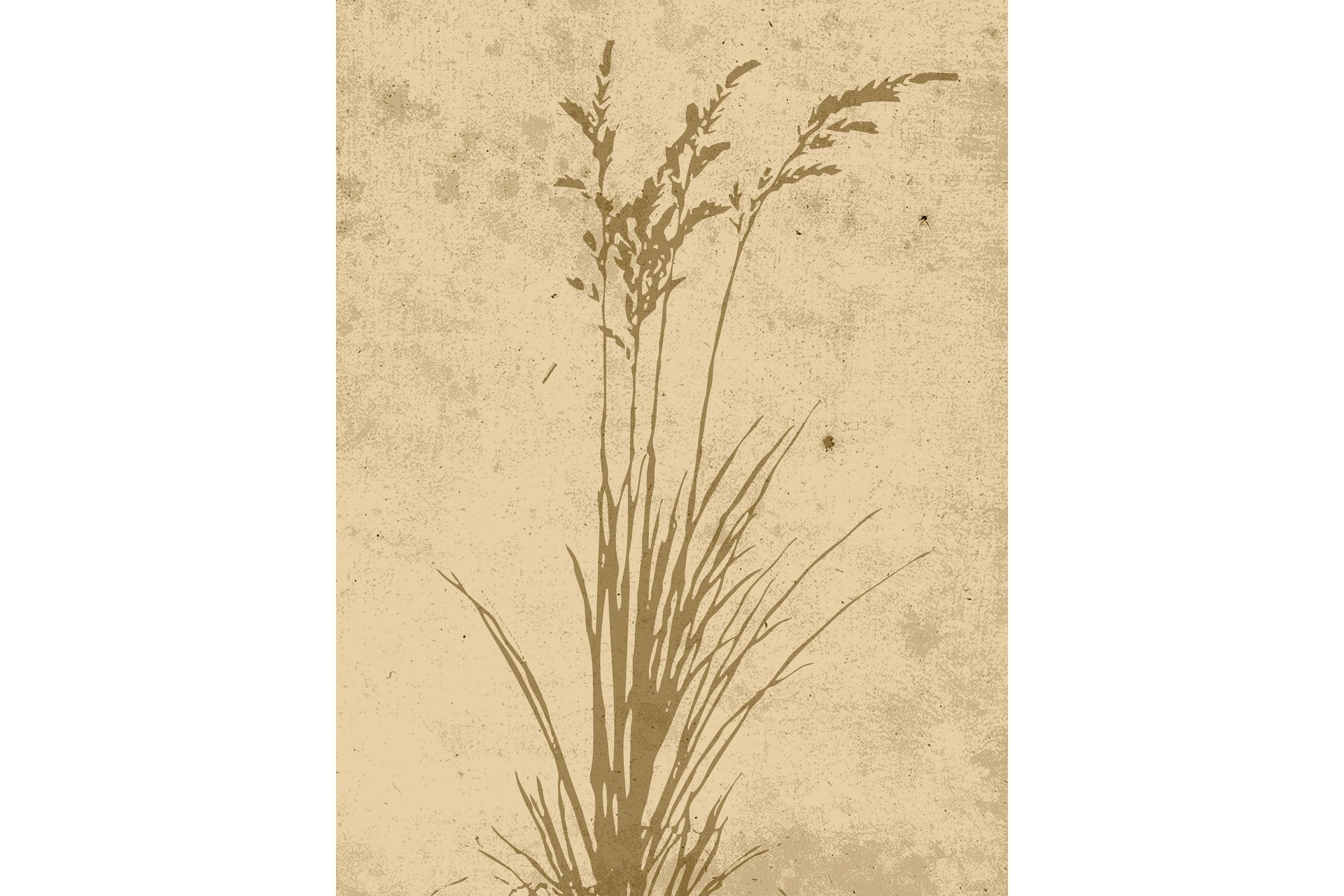 Poster Plant art 30x40 cm - Beige