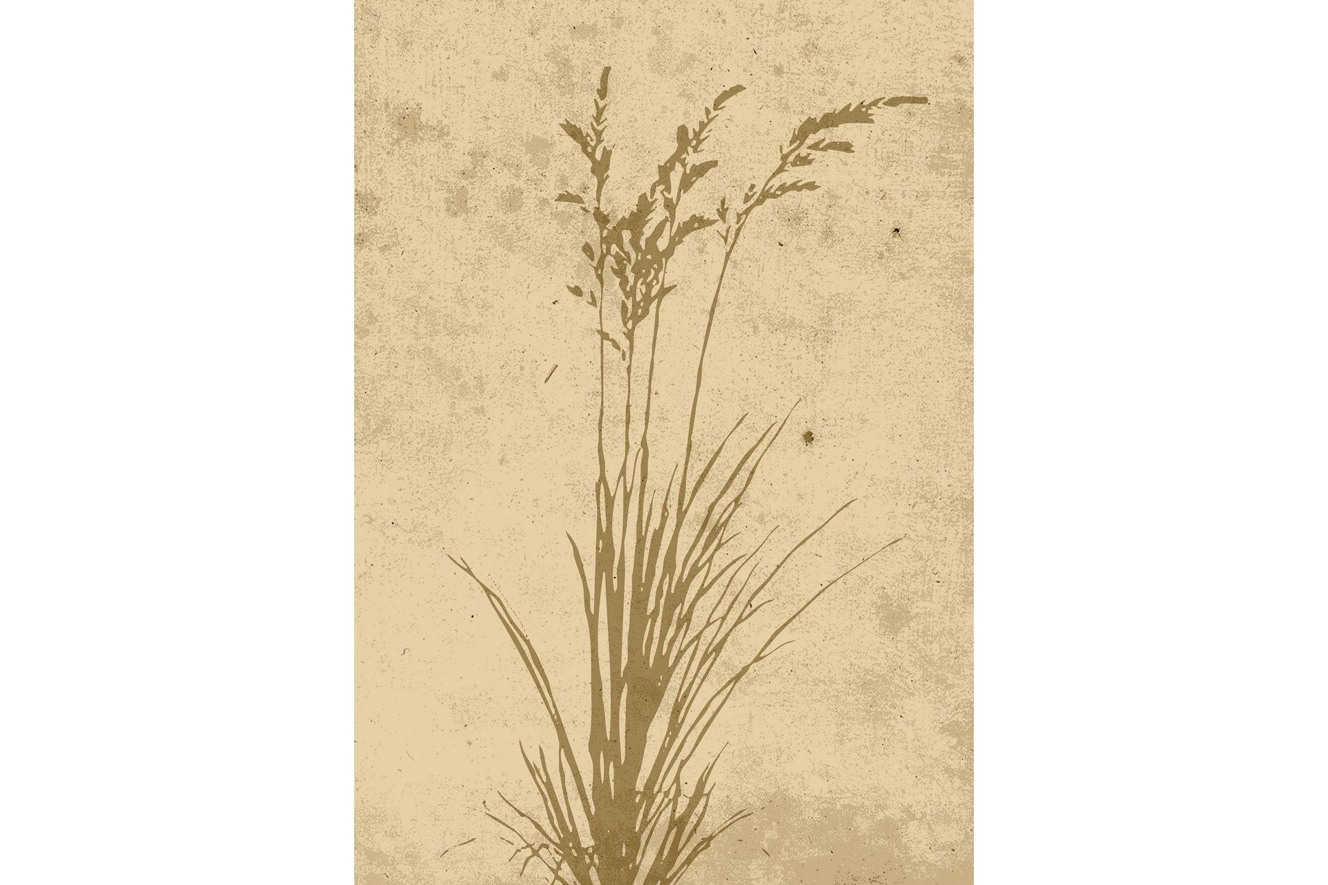 Poster Plant art 21x30 cm - Beige
