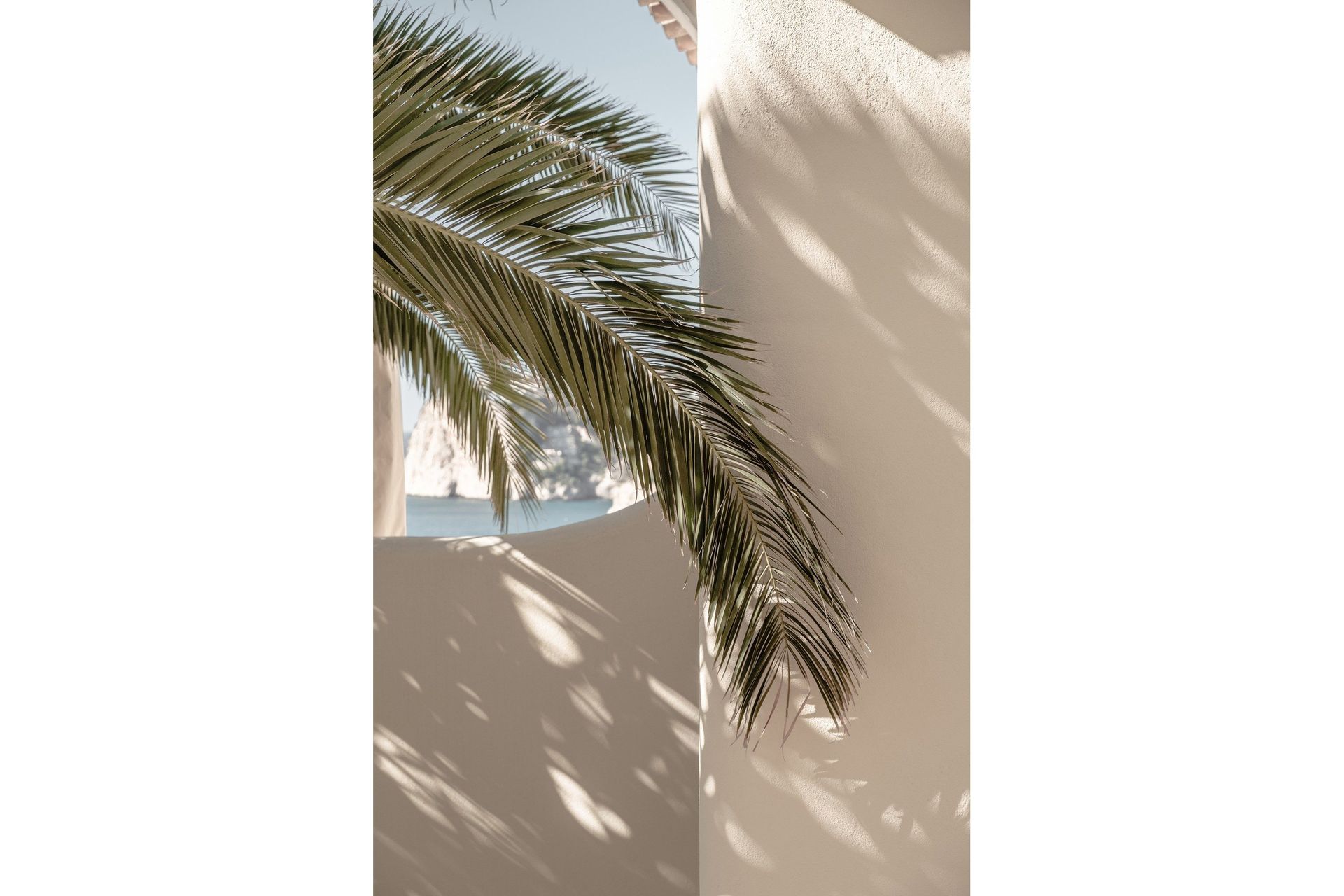Poster Palmleaf 70x100 cm - Beige