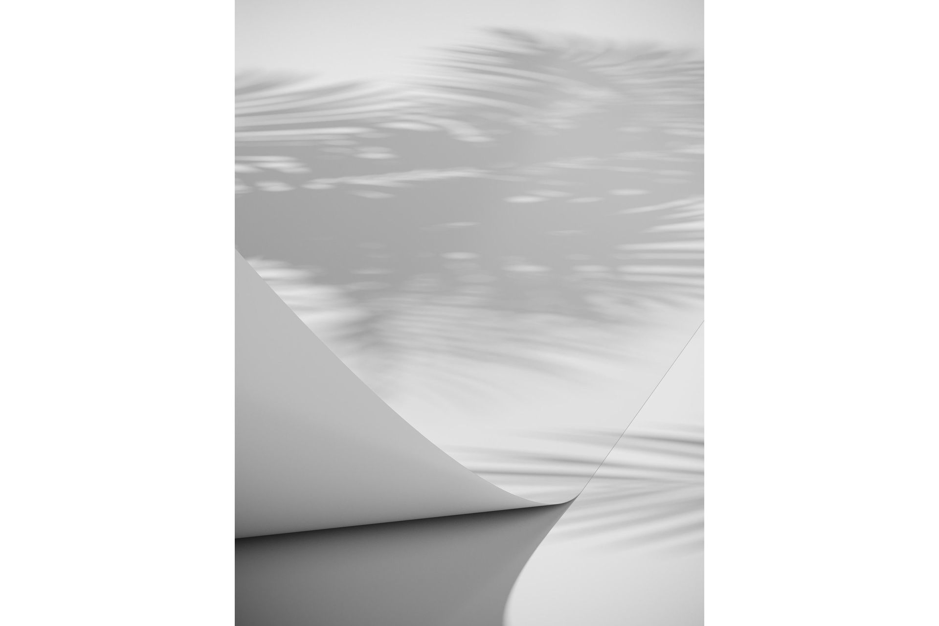 Poster Papyrus 70x100 cm - Vit