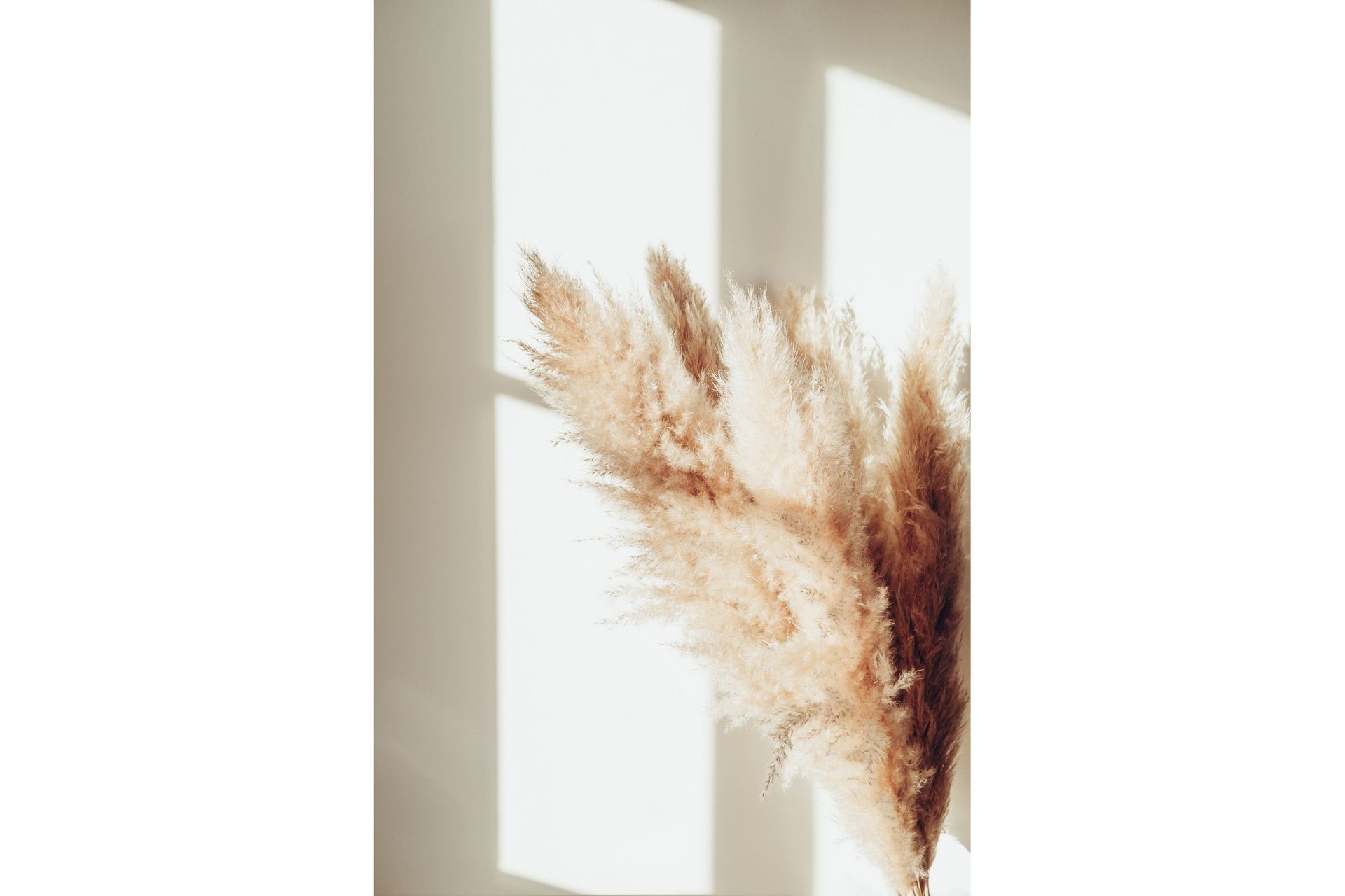 Poster Pampas 70x100 cm - Beige
