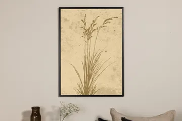 Poster Plant art 50x70 cm - Beige - Inredning - Tavlor & posters - Posters & prints