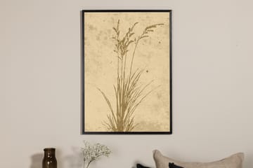 Poster Plant art 70x100 cm - Beige - Inredning - Tavlor & posters - Posters & prints