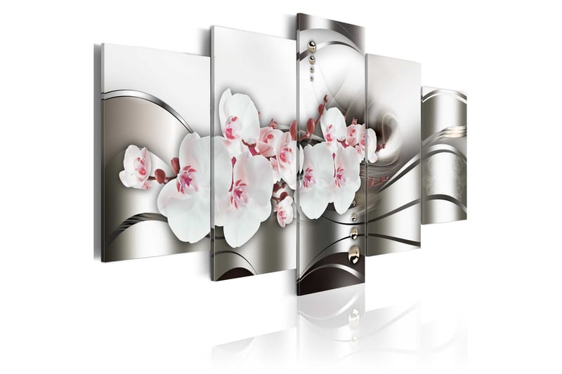 Tavla The Beauty Of Orchids 100x50 - Artgeist sp. z o. o. - Canvastavla