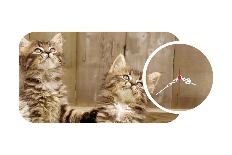 2-Delar, Flerfärgad