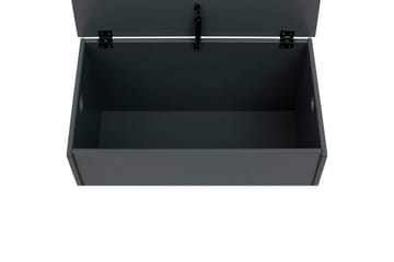 Leksakslåda/Skrin Alpi 70x40x40 cm, Grå - 70x40x40 cm, Grå - Möbler - Barnmöbler - Förvaring barnrum - Leksaksförvaring - Leksakslåda