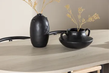 Andy Matgrupp 180 cm Oval med 4 Alfons stolar - Whitewash/Svart - Möbler - Bord & matgrupp - Matgrupp