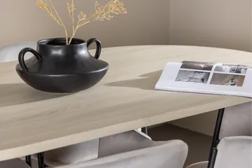 Andy Matgrupp 180 cm Oval med 4 Evelina stolar - Whitewash/Grå - Möbler - Bord & matgrupp - Matgrupp