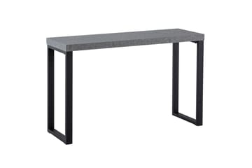 Konsolbord Wohnling 120 cm modern konsol med metallben Grå
