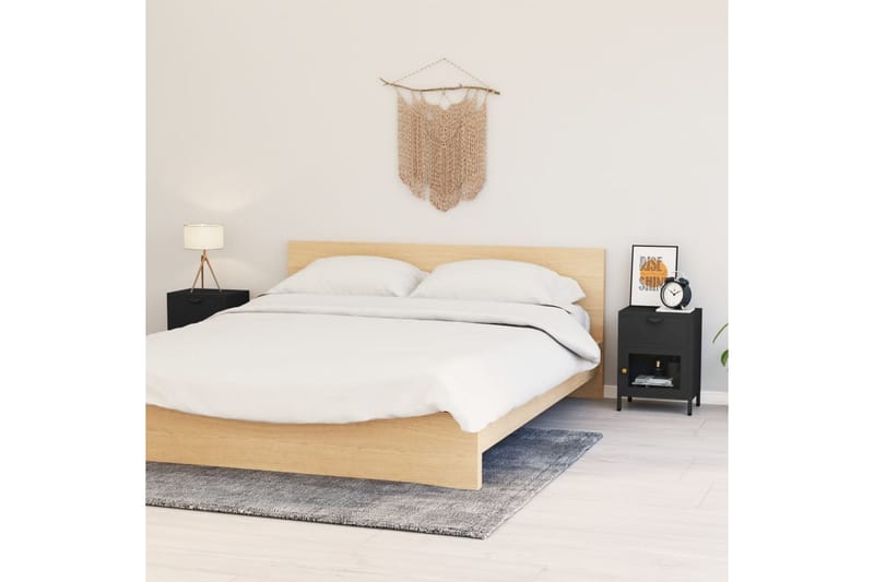 Sängbord 2 st antracit 40x30x54,5 cm stål och glas - Grå - Sängbord & nattduksbord