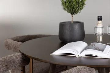 Kaseidon Matgrupp 100 cm Rund med 4 Morning stolar - Brun - Möbler - Bord & matgrupp - Matgrupp