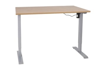 Ergosum 1 Skrivbord 140 cm Höj-och Sänkbar - Trä/Natur - Möbler - Bord & matgrupp - Kontorsbord - Skrivbord