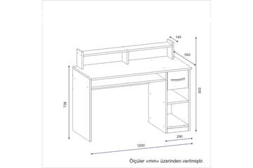 Yemisen Skrivbord 120 cm med Förvaring Låda + Hyllor - Antracit - Möbler - Bord & matgrupp - Kontorsbord - Skrivbord