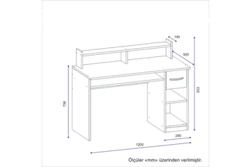 Yemisen Skrivbord 120 cm med Förvaring Låda + Hyllor - Antracit - Möbler - Bord & matgrupp - Kontorsbord - Skrivbord