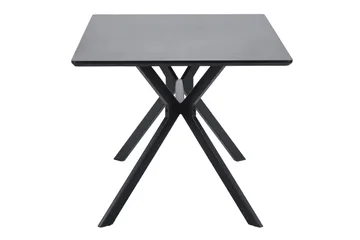 Tero Rektangulärt Matbord 160 cm i Metall och Trä med Mörkt Träutseende - Svart - Möbler - Bord & matgrupp - Matbord & köksbord