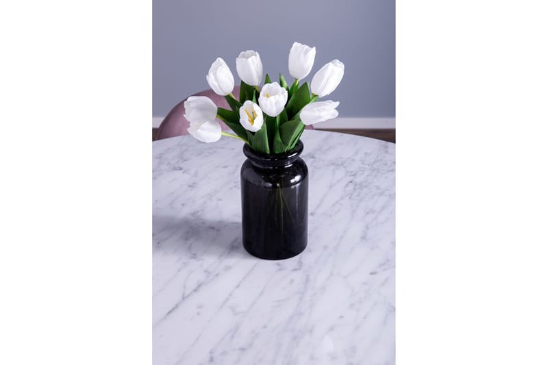 Admira Matgrupp med 4 Valeri Matstolar - Möbler - Bord & matgrupp - Matgrupp